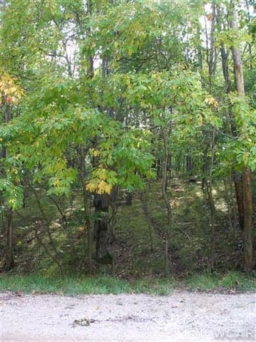 9795 Pere Marquette Drive 253, Canadian Lakes, MI 49346