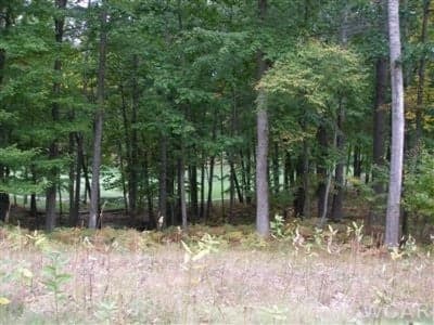 9615 Aberdeen Court 29, Canadian Lakes, MI 49346