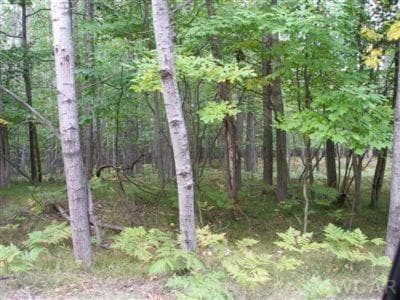 9692 Golf Port Drive 216, Canadian Lakes, MI 49346