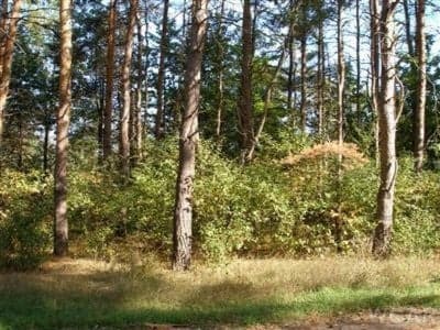 10412 Mountain View Trail 378, Canadian Lakes, MI 49346