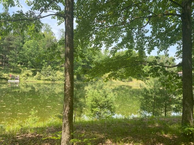 12004 Buchanan Road 42-43, Canadian Lakes, MI 49346