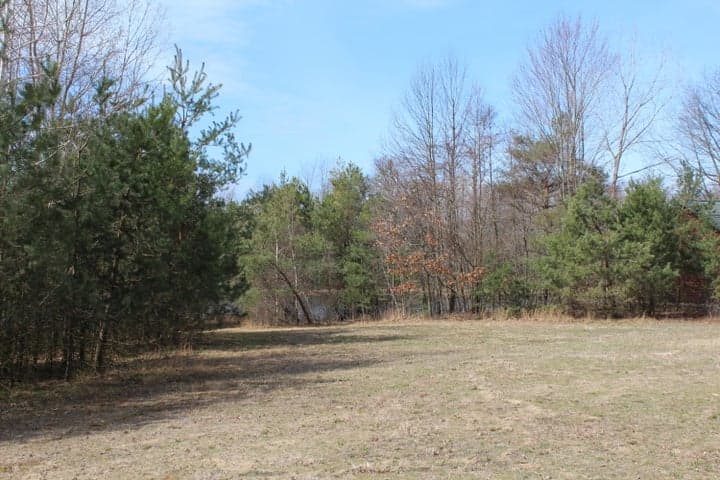 43278 Whispering Pines Path 9, Coloma, MI 49038