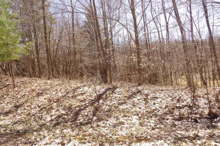 23042 Miramichi Drive, Evart, MI 49631