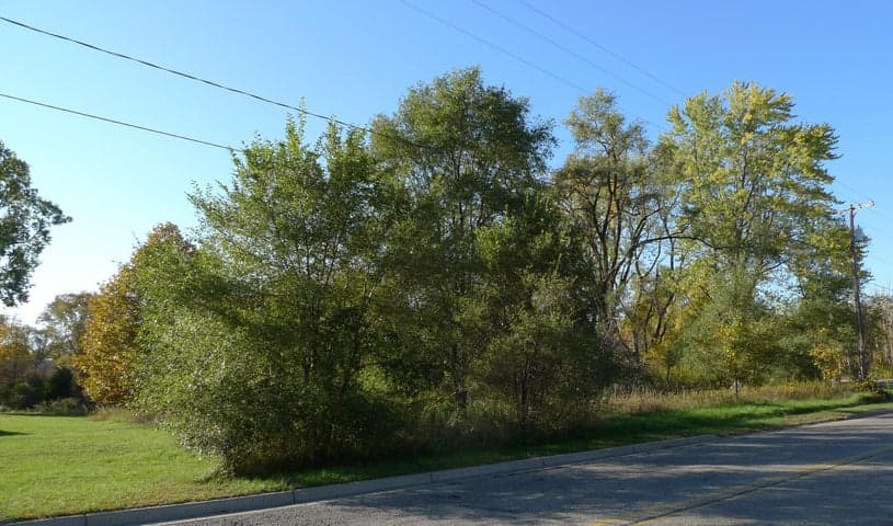 Photo 4