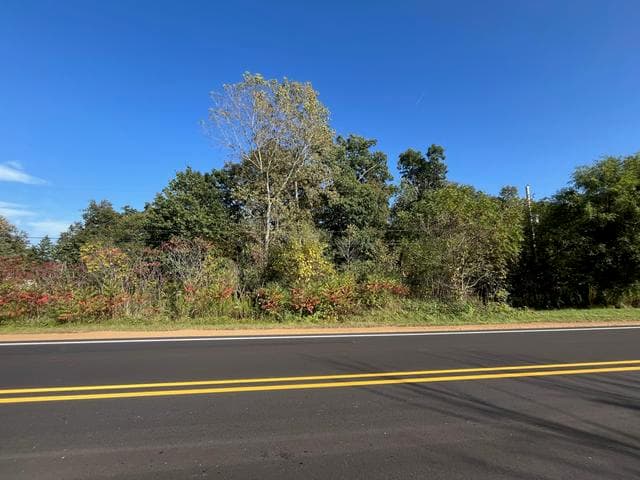 VL Morrill Road, Jackson, MI 49201