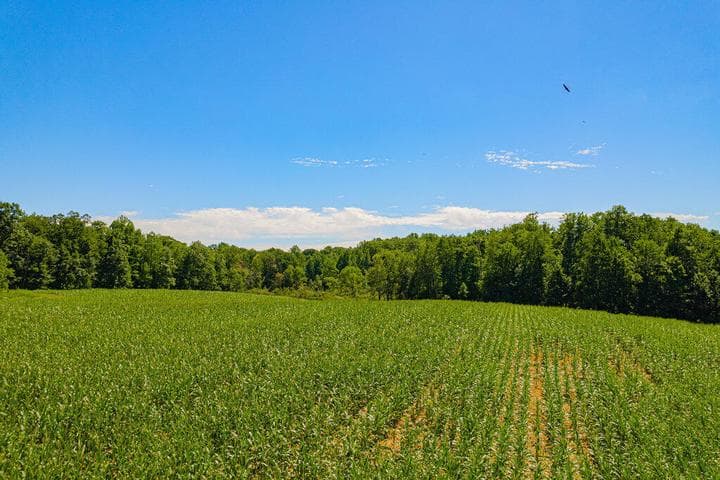 1936 E Clear Lake Road, Buchanan, MI 49107