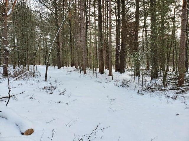 0 N Centerline Road, Brohman, MI 49312