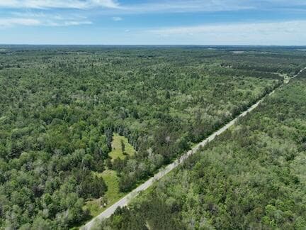 0 V/L W 13 Mile Rd. Par C, Bitely, MI 49309
