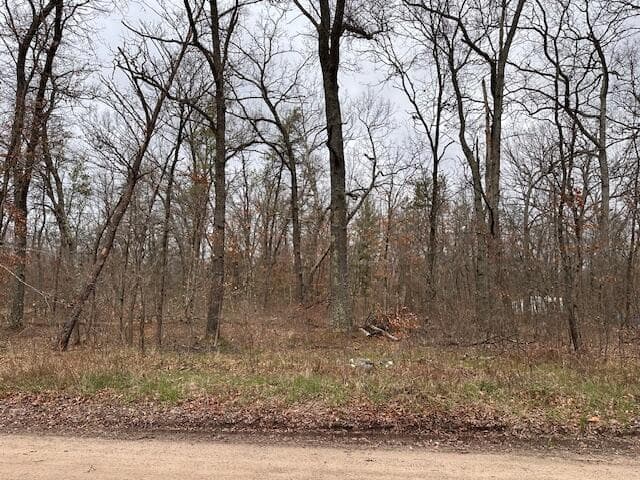 V/L W Lakewood Grove Drive, Baldwin, MI 49304