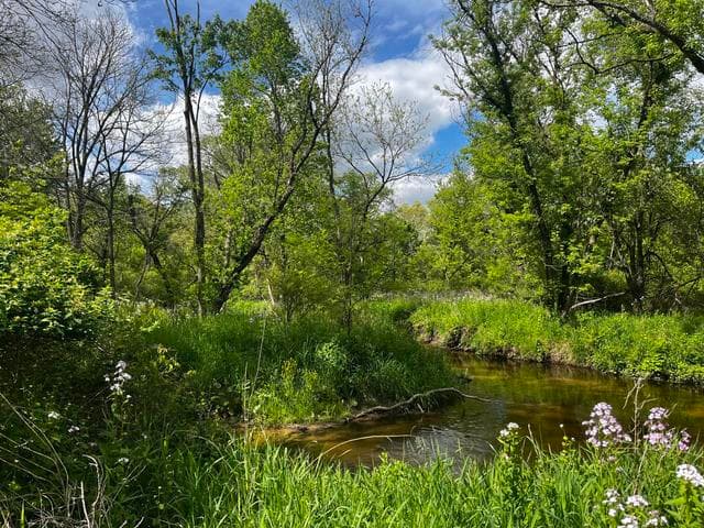 5650 Morrison Lake Road, Saranac, MI 48881