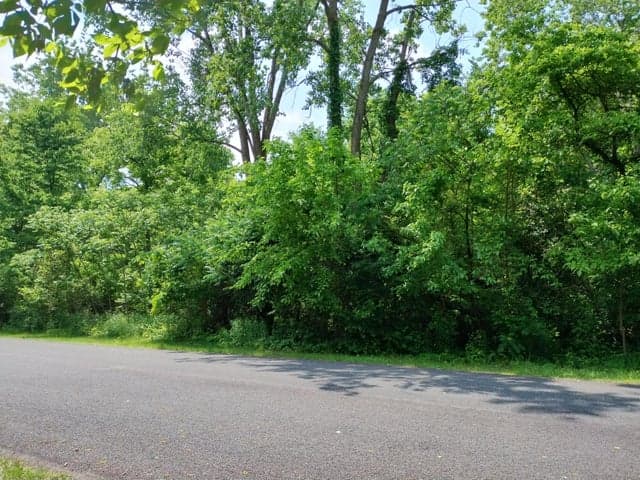 1.75 Ac Briarwood Drive, Otsego, MI 49078