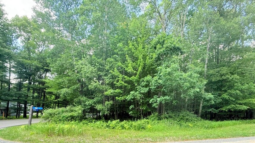 9760 Main Street, Canadian Lakes, MI 49346
