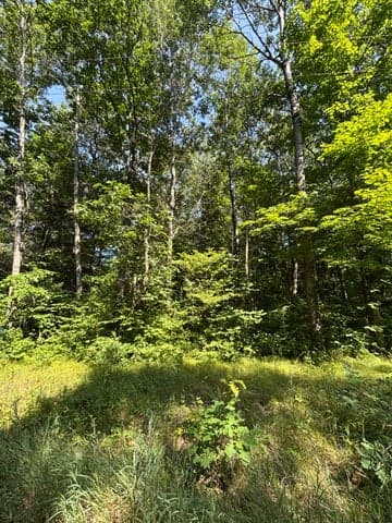 3628 Indian Trail Crossing, Hersey, MI 49639