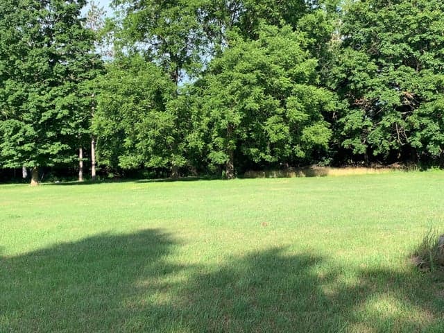Lizzie Avenue, Hesperia, MI 49421