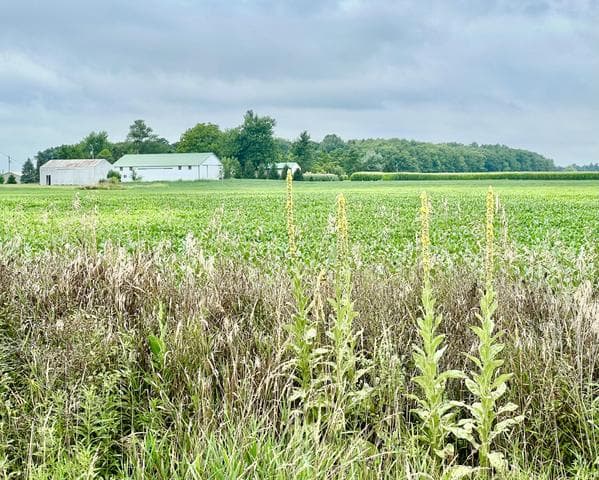 10800 South Road, Waldron, MI 49288