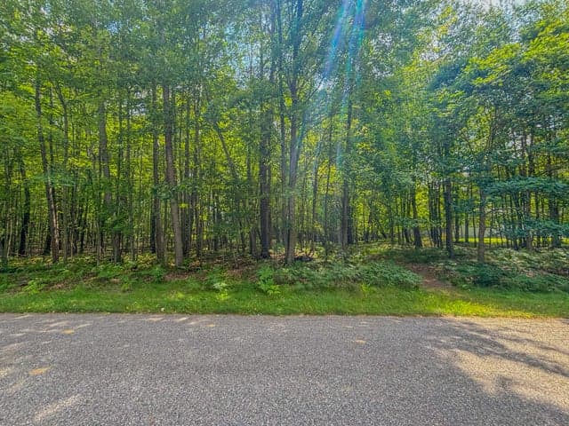 9385 Clubhouse Drive W, Canadian Lakes, MI 49346