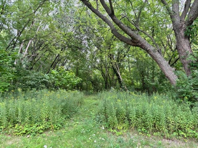 Photo 2