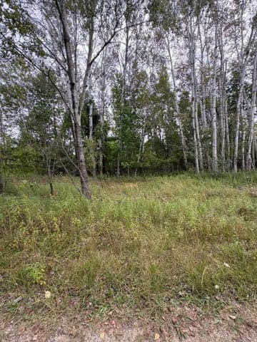 Coocpa- Lake Miramachi lots 455, 456, Evart, MI 49631