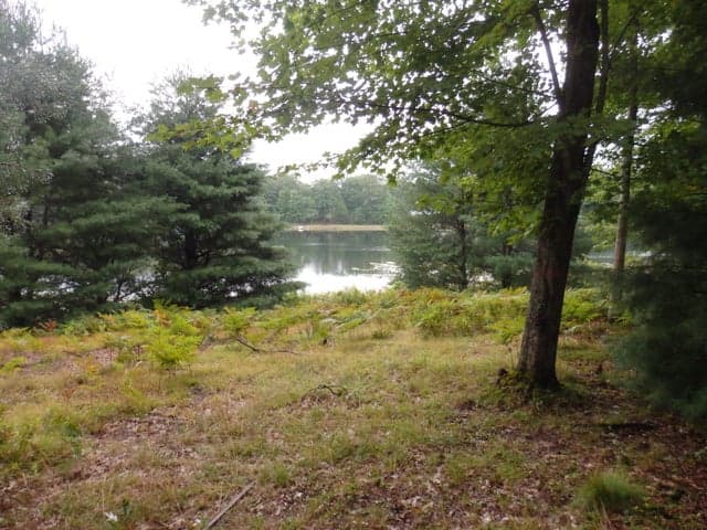 Shingle Mill Way W 19, Manistee, MI 49660