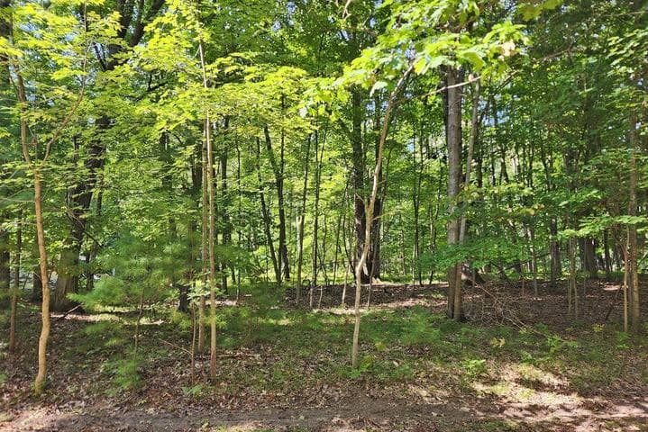 10933 Shawnee Trail 192, Stanwood, MI 49346