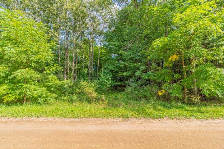7574 9th Street, Canadian Lakes, MI 49346