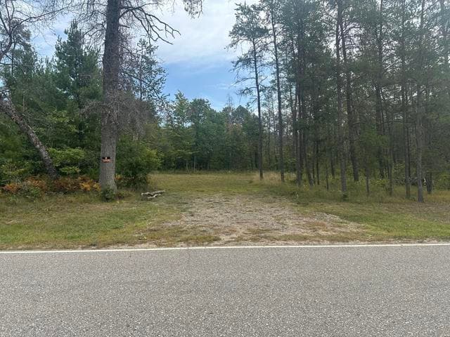 00 Spruce Road, Idlewild, MI 49642