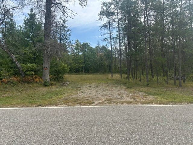 00 Spruce Road, Idlewild, MI 49642