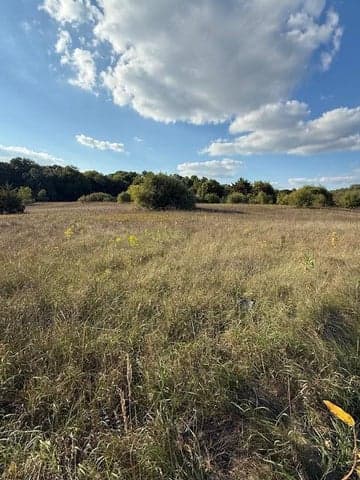 V/L Industrial Park Drive, Greenville, MI 48838