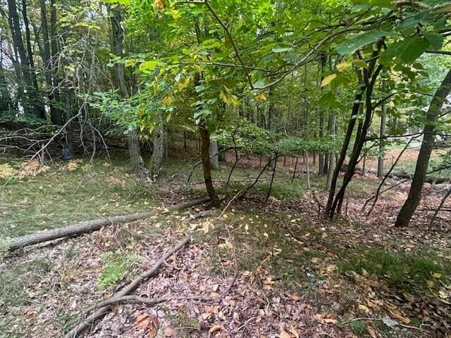 11269 Apache Wells Court 611, Canadian Lakes, MI 49346
