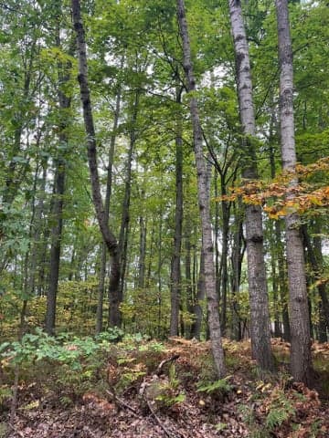 Lot 681 Elm Drive, Farwell, MI 48622