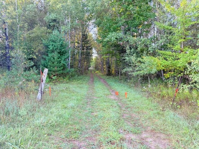 V/L E 38 Road, Cadillac, MI 49601