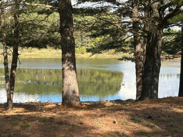 6878 Bantry Bay 3, Canadian Lakes, MI 49346