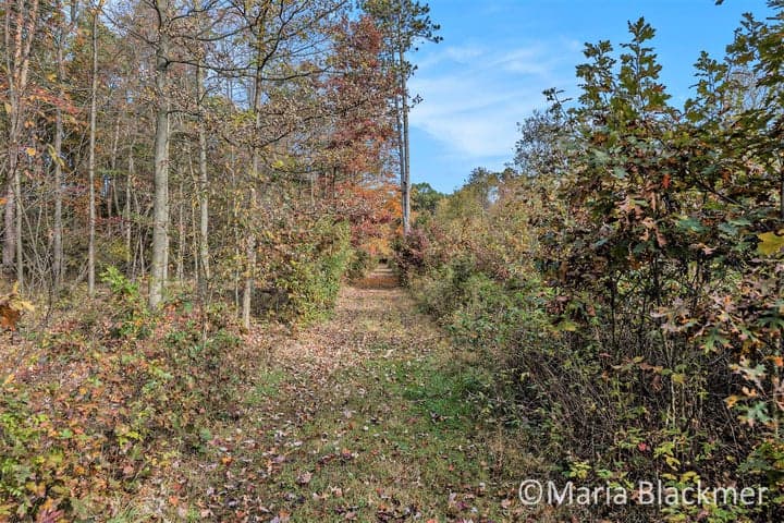 V/L E Charles Road, Ionia, MI 48846