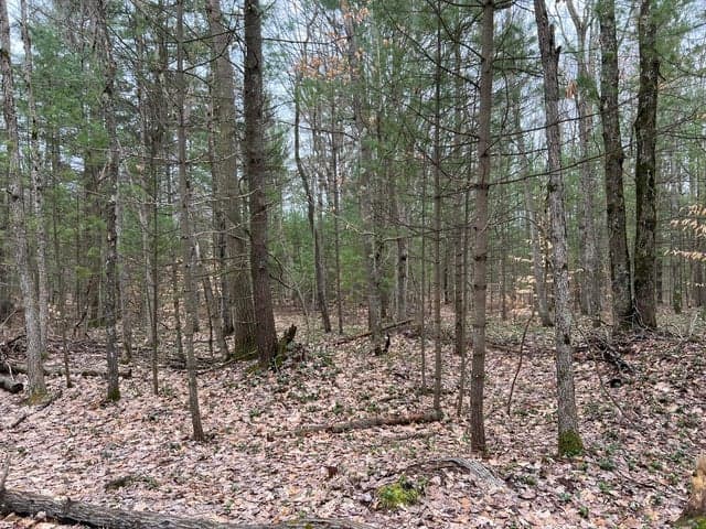 N Cherry Lane, Free Soil, MI 49411