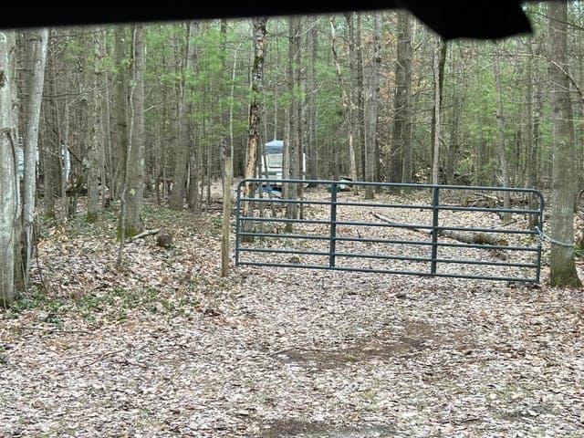 Photo 6