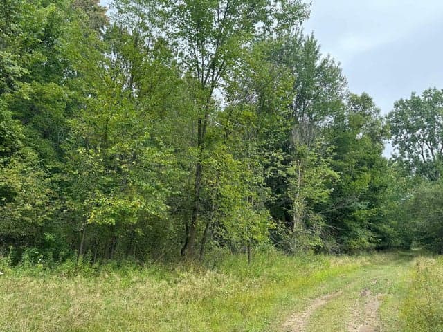 Pawnee Trail, Evart, MI 49631