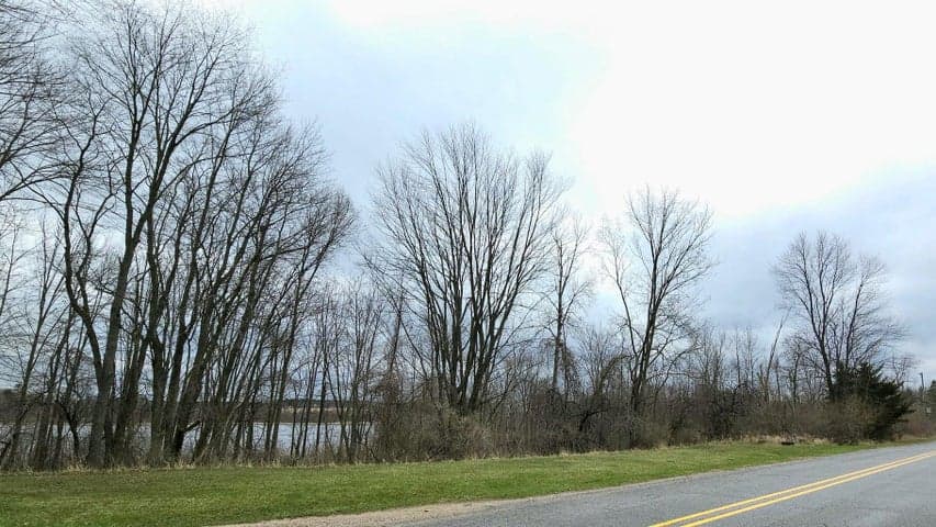TBD N Derby Road, Six Lakes, MI 48886