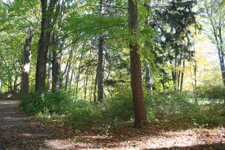 246 Webster Avenue, South Haven, MI 49090