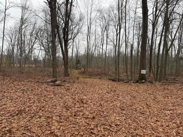 Burtch Road, Grass Lake, MI 49240