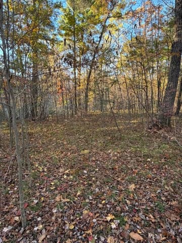 V/L Maple Hill Road Parcel B, Howard City, MI 49329