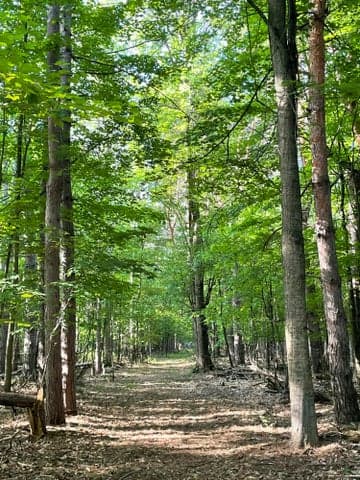 Mortimer Line Road, Croswell, MI 48422