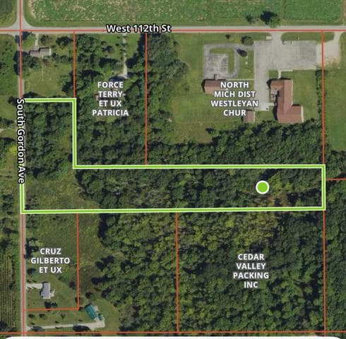 11298 S Gordon Avenue, Grant, MI 49327