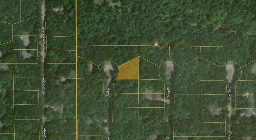 6824 Maple Court, Canadian Lakes, MI 49346
