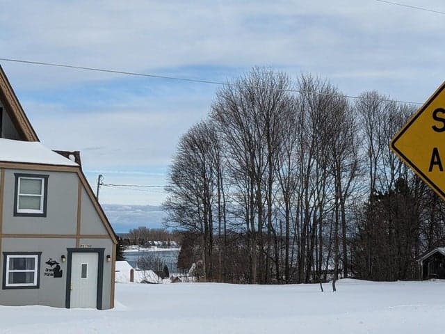 Photo 4
