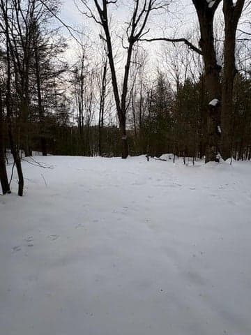 VL Bayou Road, Montague, MI 49437