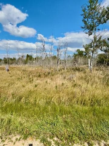 Lot 17, W Fairway Street, Onekama, MI 49675