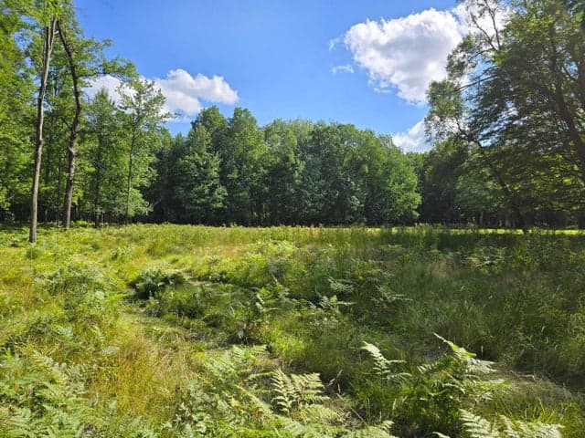 9397 Sunset Drive, Stanwood, MI 49346