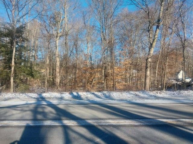 Lot B 142nd Avenue, Dorr, MI 49323