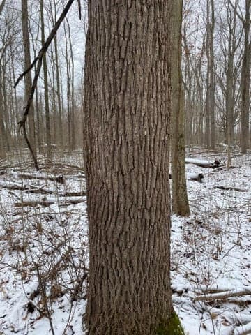 W Copeland Road 2, Bronson, MI 49028