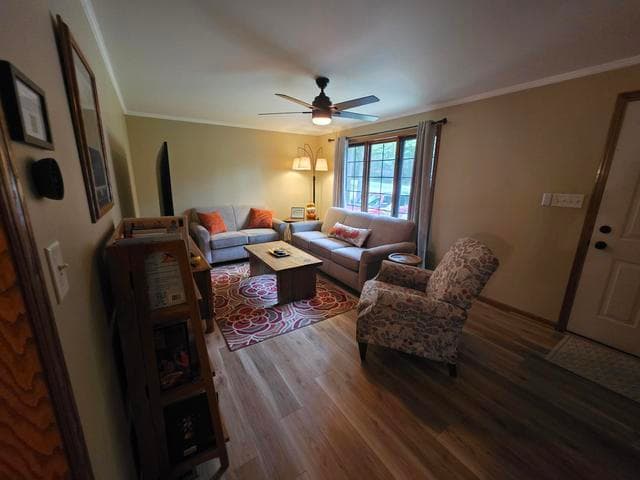 Photo 6